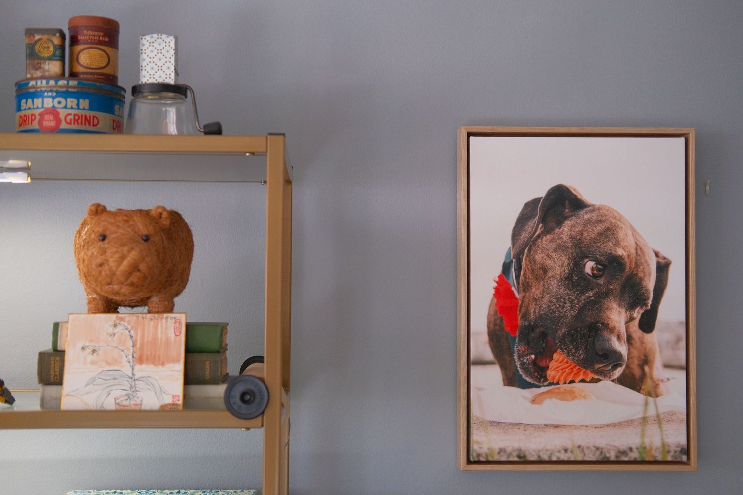 A brown dog eating food from a bowl is shown in a framed photo on a wall next to wooden shelving.