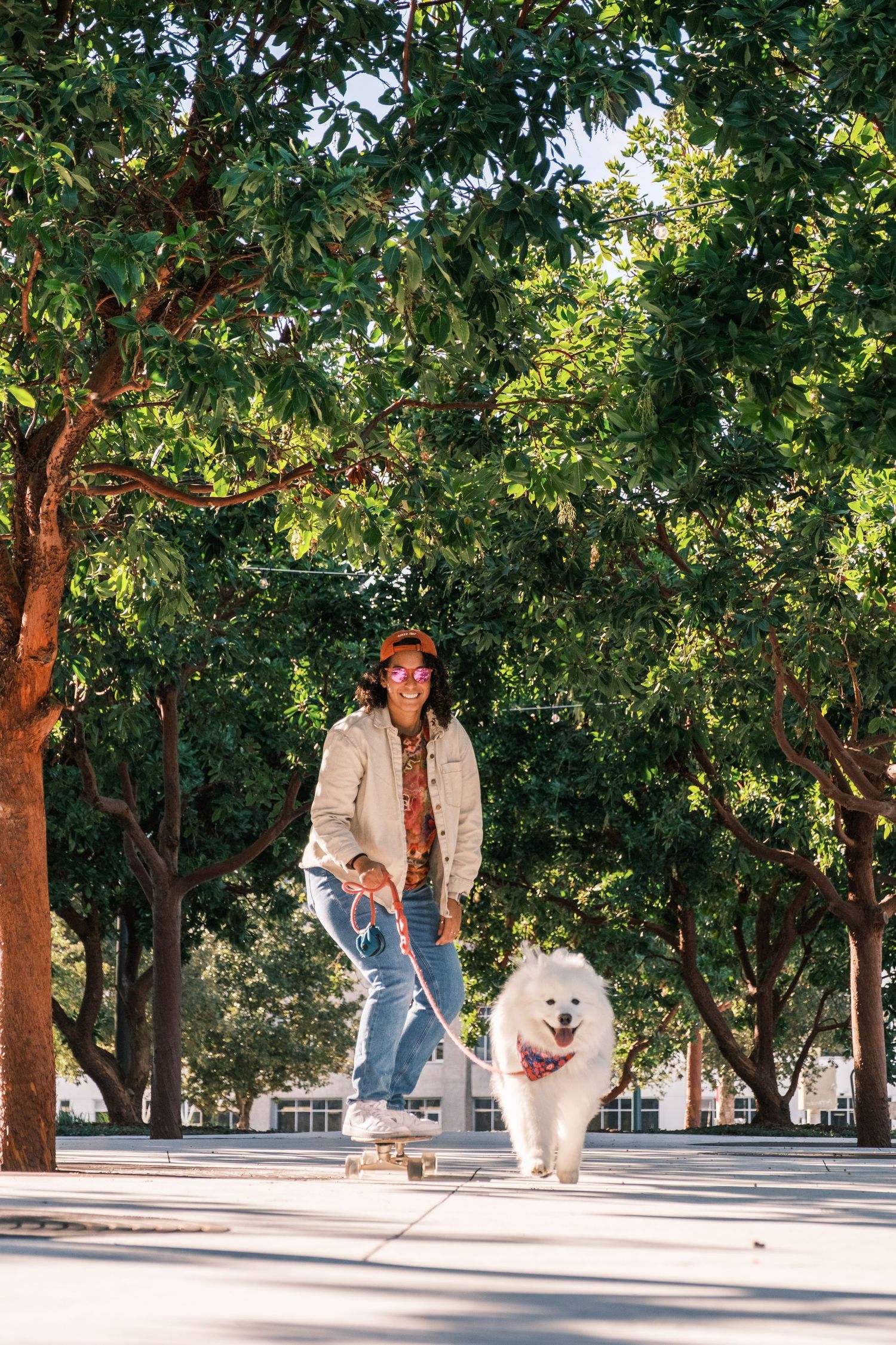 White Japanese Spitz dog plays fetch in a tree-lined park on sunny day.