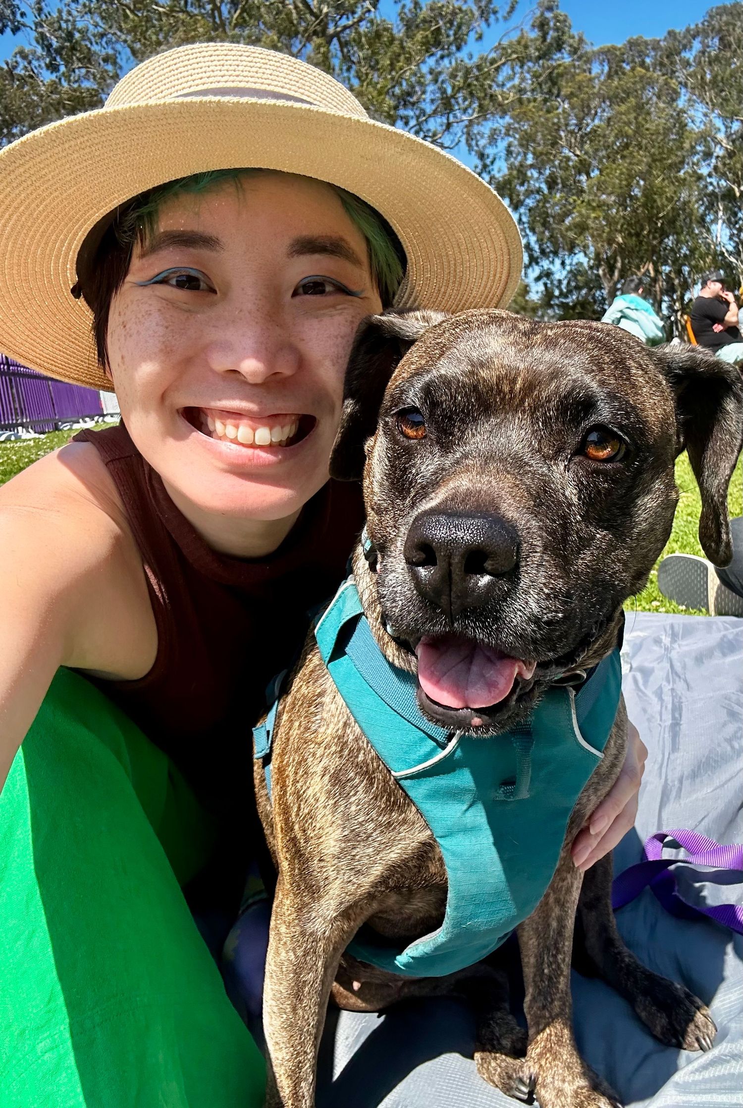 A series of selfies showing a person in a straw hat and green shirt with a happy brindle dog wearing a teal bandana.