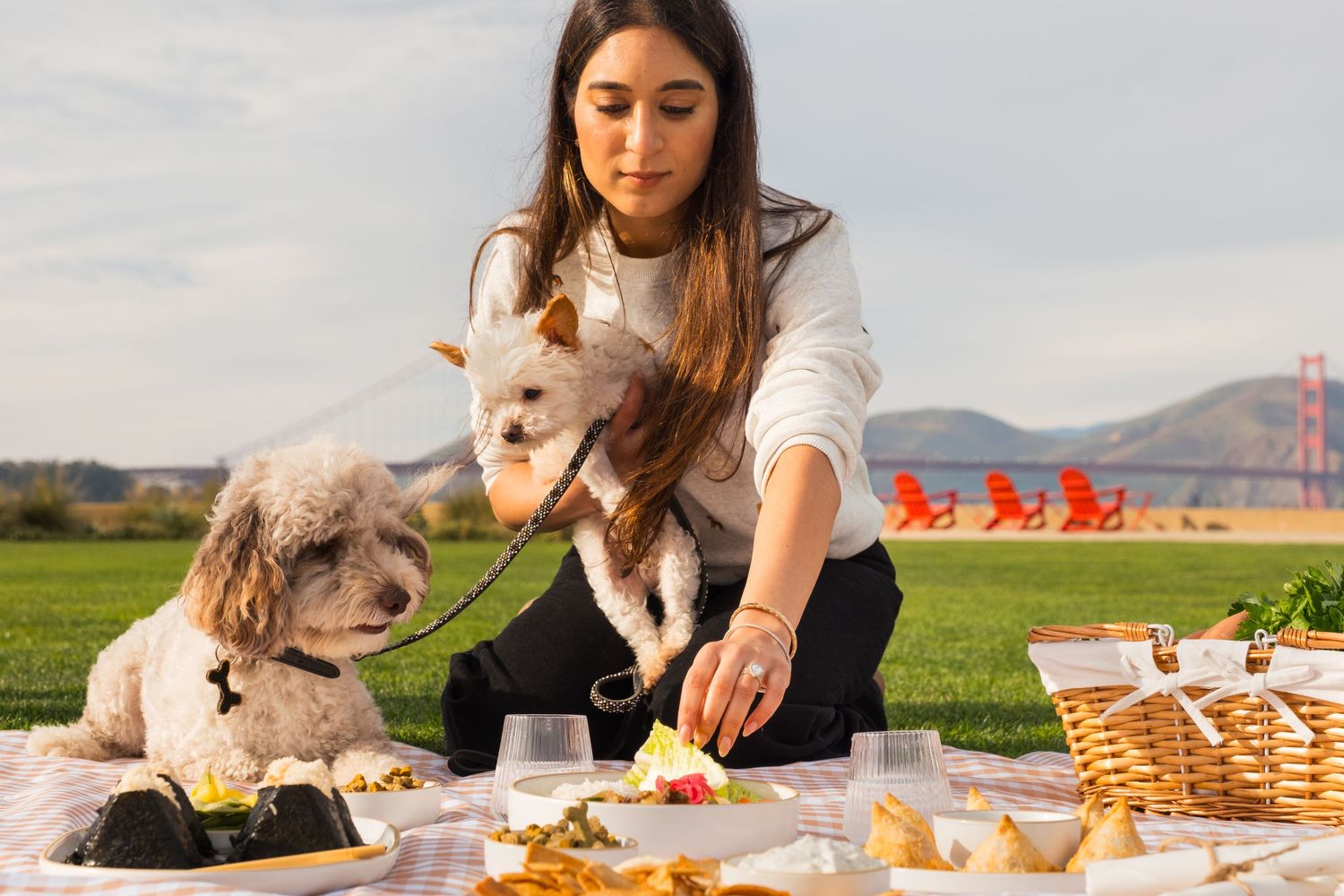 A picnic scene in a park with dogs enjoying treats and snacks with the Golden Gate Bridge visible in the distance.