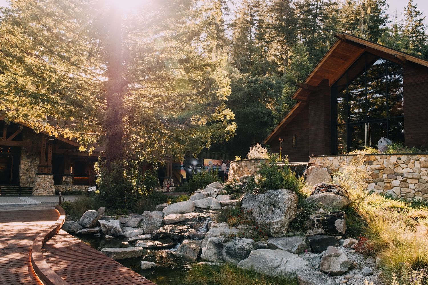 Rustic woodland lodge with stone water feature, lush trees, and warm sunlight filtering through the forest canopy.