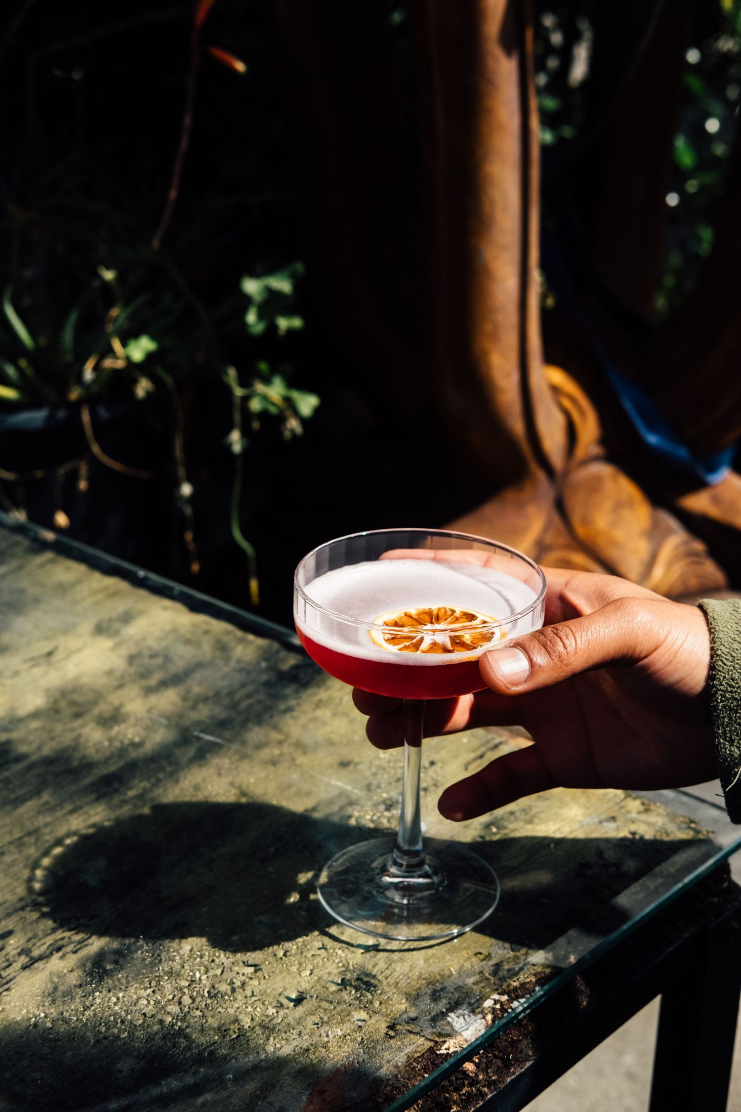 A hand holds a red cocktail in a coupe glass against dramatic shadows and sunlight.