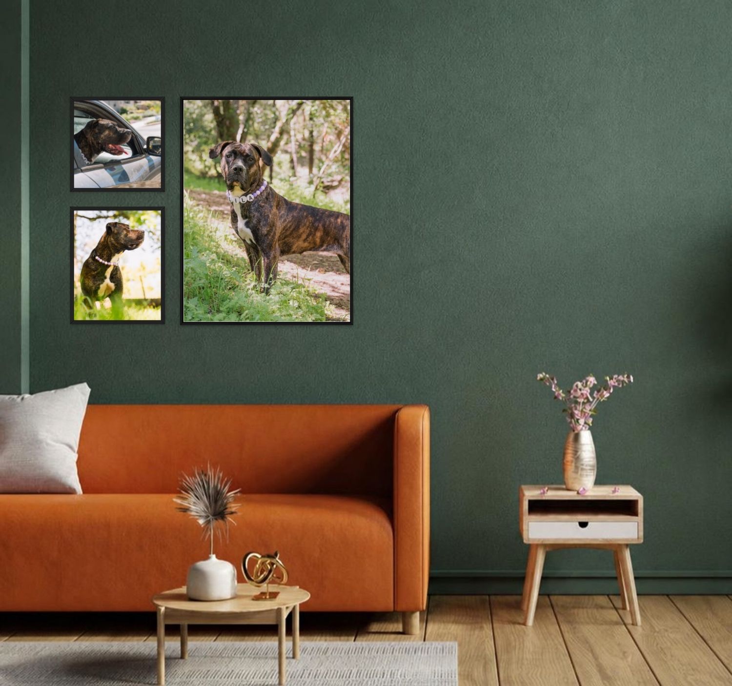 A cozy living room with green walls featuring three framed dog photos above an orange sofa with a wooden side table.