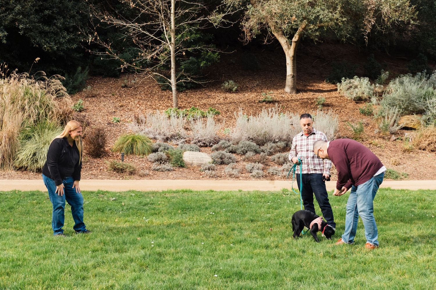A group of people and dogs participate in outdoor obedience training class on a grassy field.