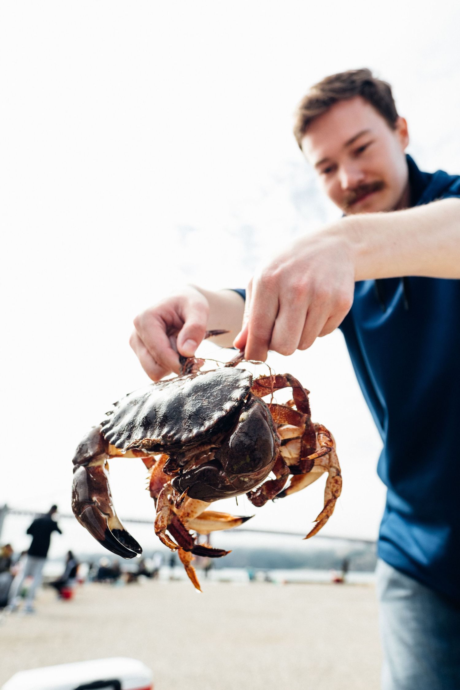 Large red crab being held up on a beach with ocean in the background.