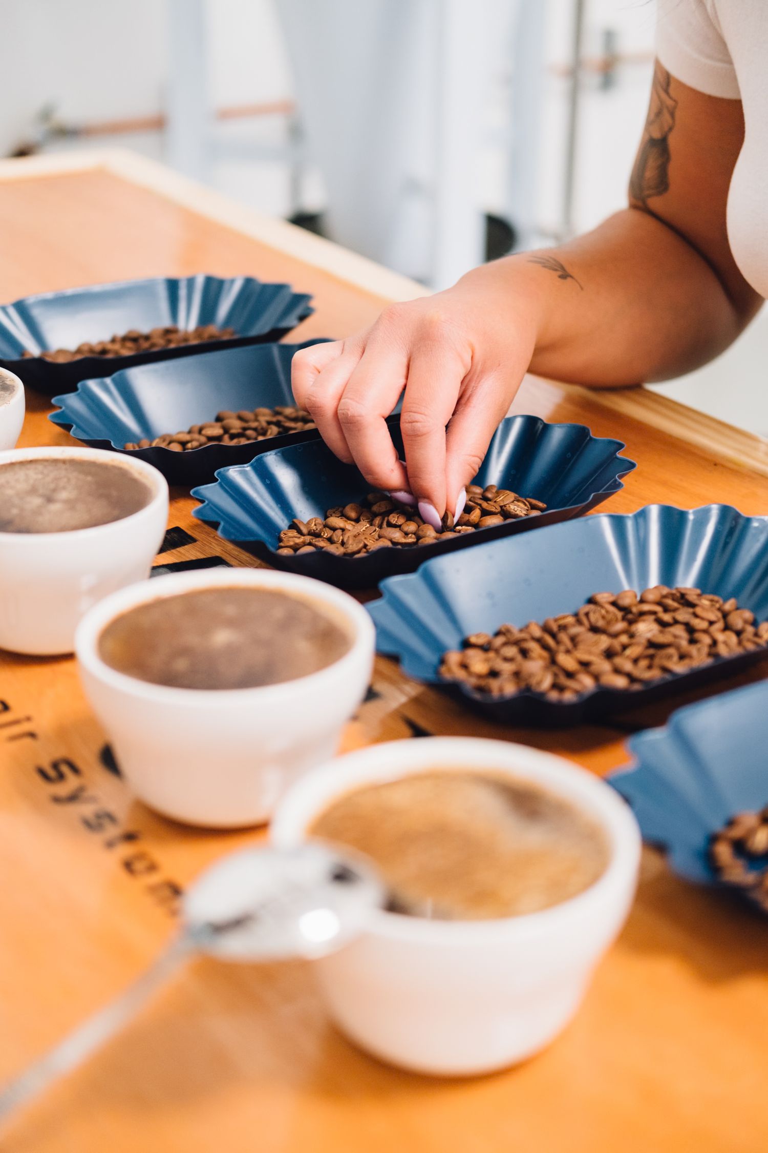 Coffee tasting setup with cups and blue filters filled with coffee beans.