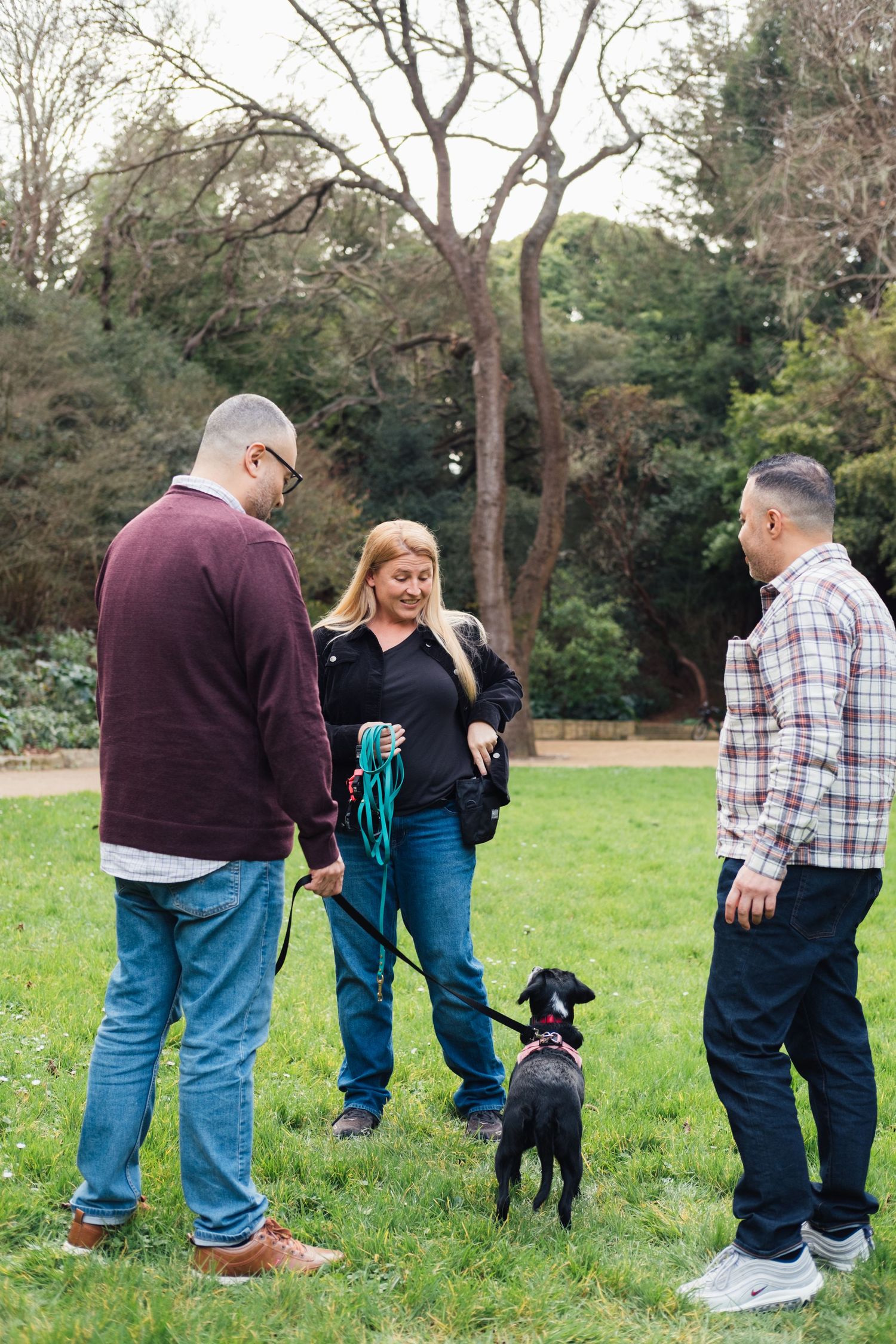 A sequence of photos showing people in casual attire playing with a black dog in a grassy park setting.