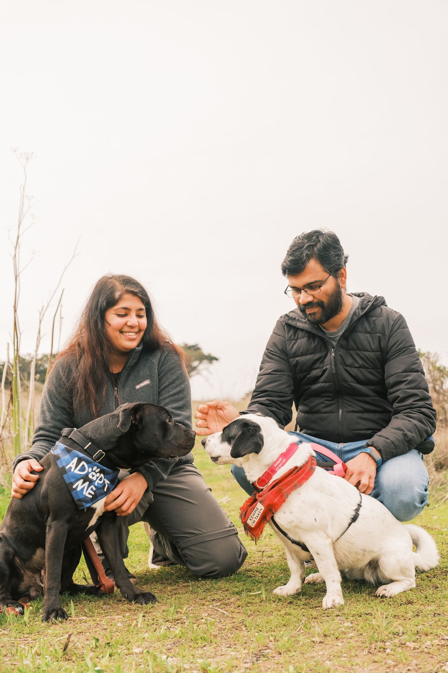 A couple sits outdoors on grass with their black and white dog enjoying a relaxing moment together.