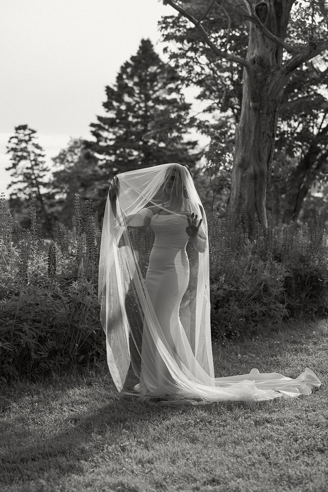 Bride Saint John Photographer SJ Wedding Photographer Hampton New Brunswick Photographer St. Andrews Saint Andrews Ministers Island Wedding