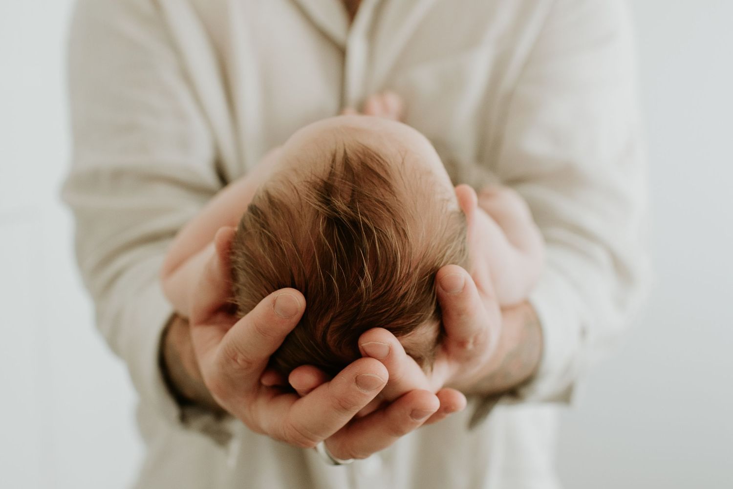 A pair of hands delicately holds and stretches natural white wool fibers against a light background.