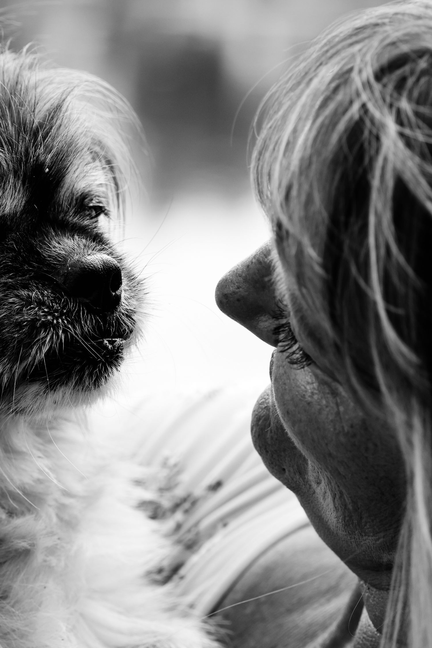 A small dog and its owner share an intimate moment face-to-face in black and white photography.