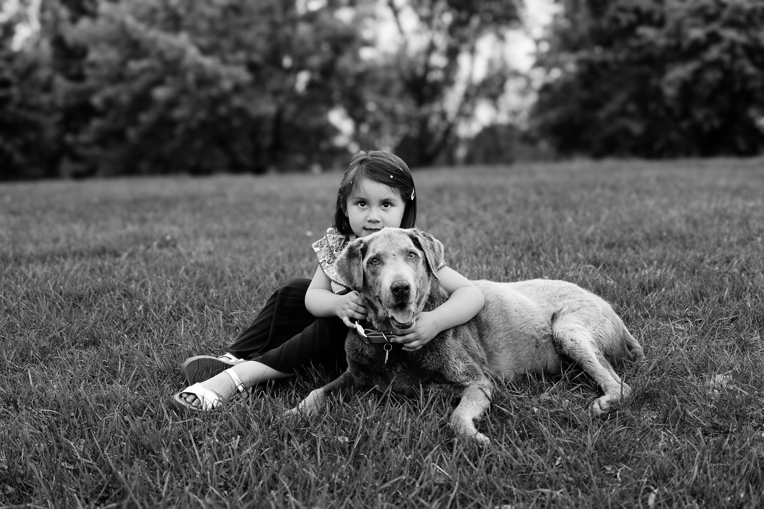 A sequence of black and white photos showing a playful dog rolling and stretching in grass.
