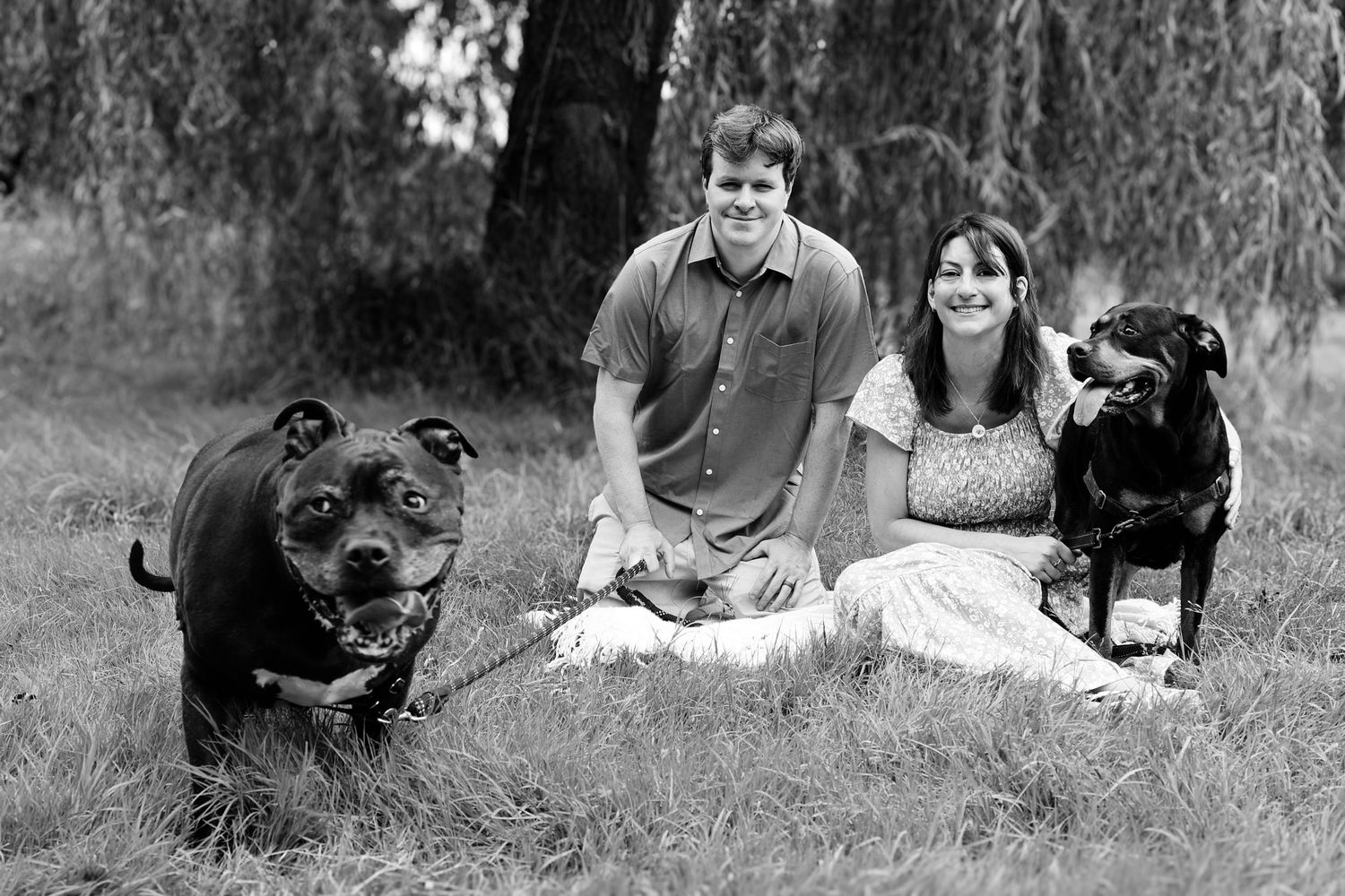 A series of black and white photographs showing dogs and their owners relaxing outdoors on the grass.