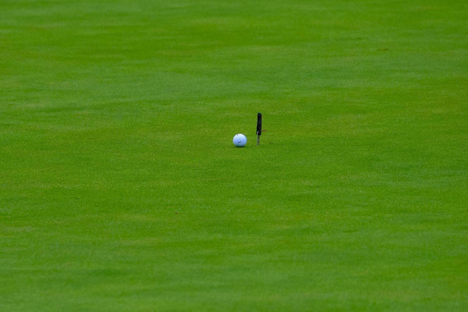 A golf ball sits on a bright green manicured grass putting surface.