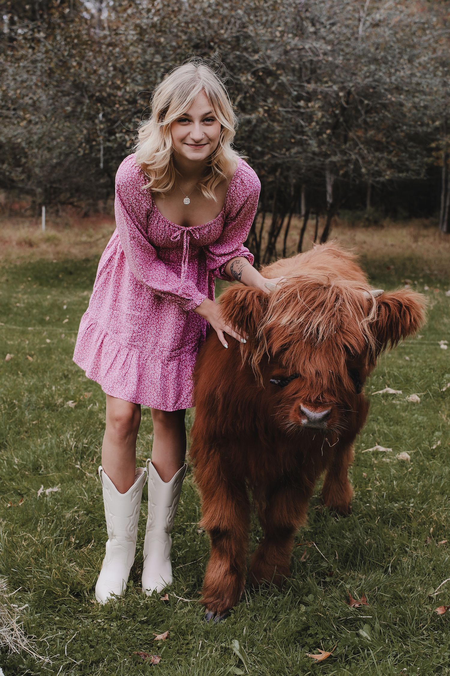 A fluffy Highland cow stands next to someone wearing a pink dress and white boots in a grassy field.