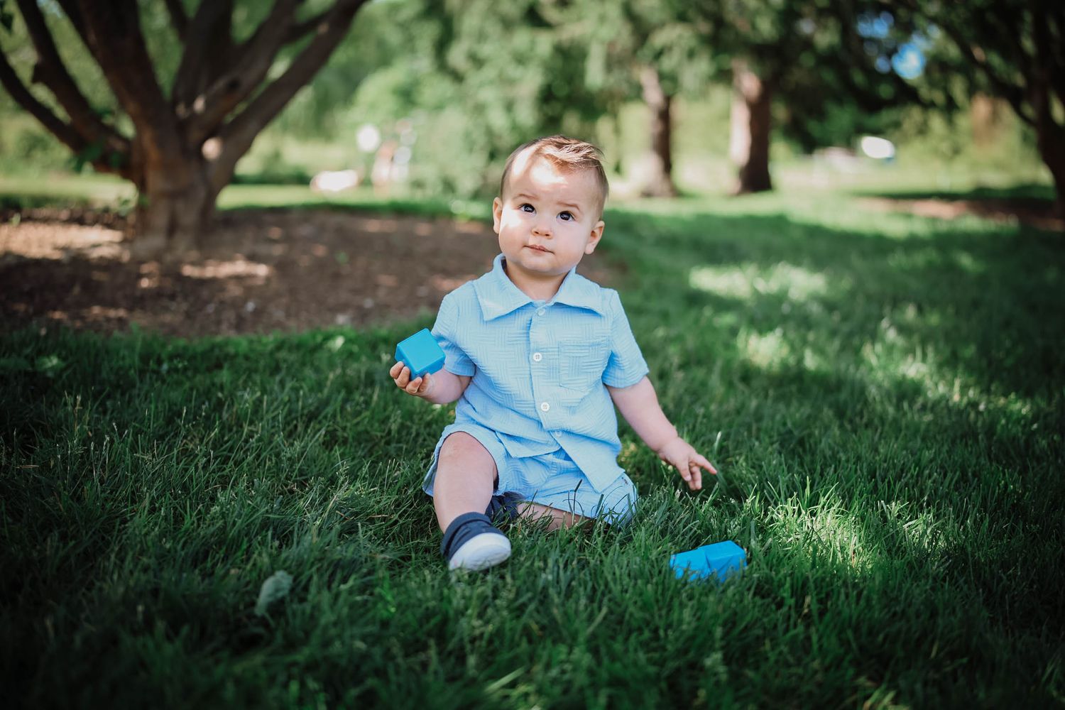 Adorable baby boy in blue outfit sitting on green grass outdoors near trees during a sunny day.