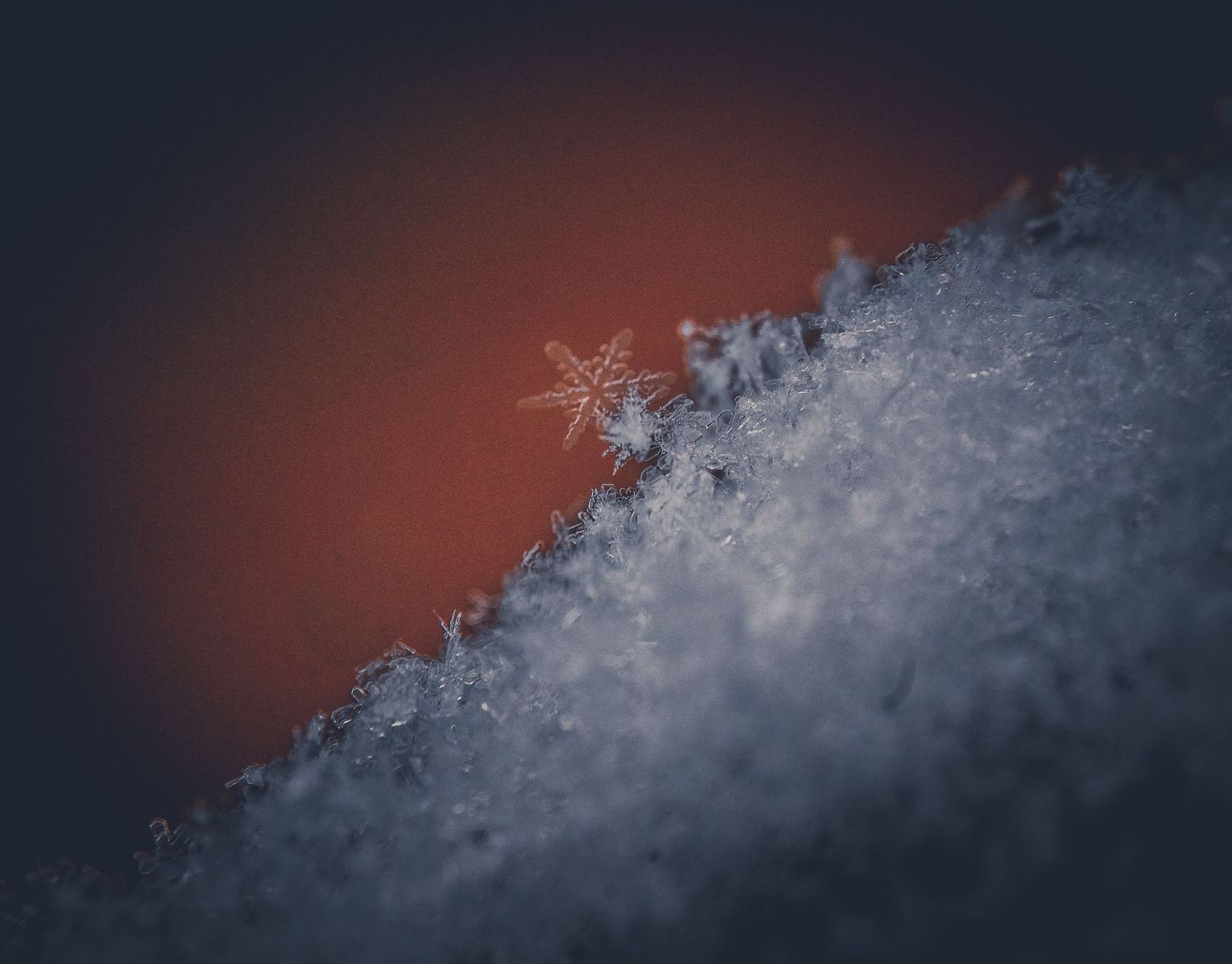 A series of macro photographs showing delicate snowflakes with intricate crystalline patterns against a dark background.