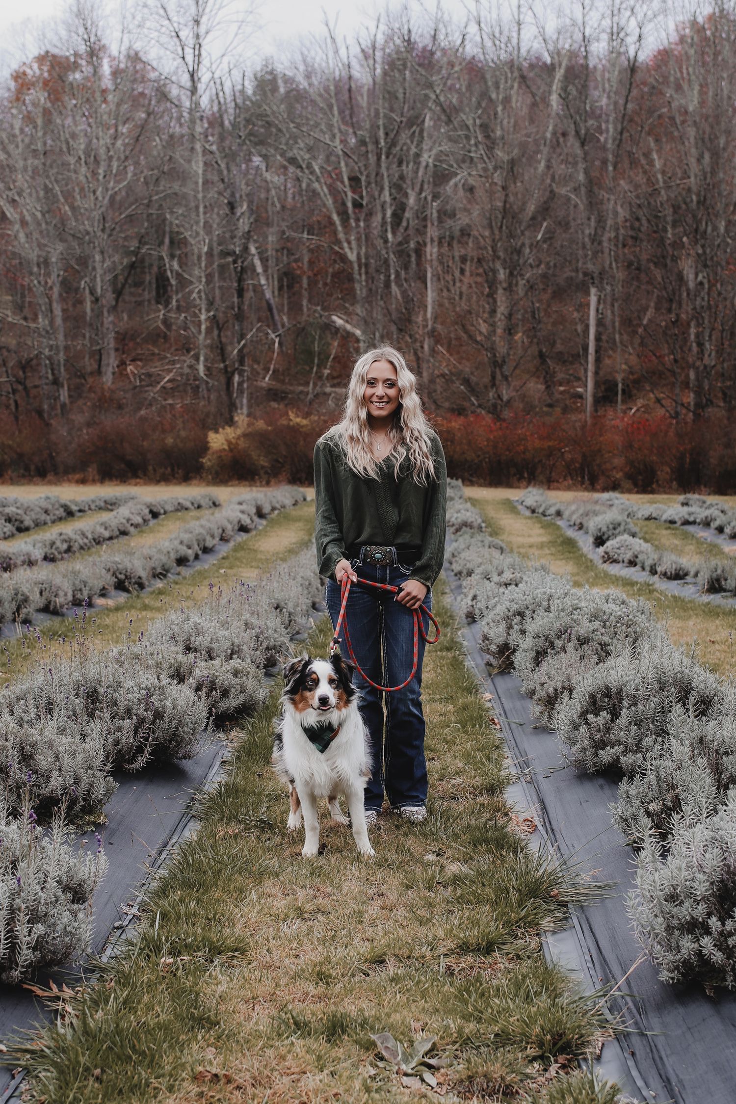 Dog and owner stand between rows of lavender plants covered in protective black fabric on a winter farm.