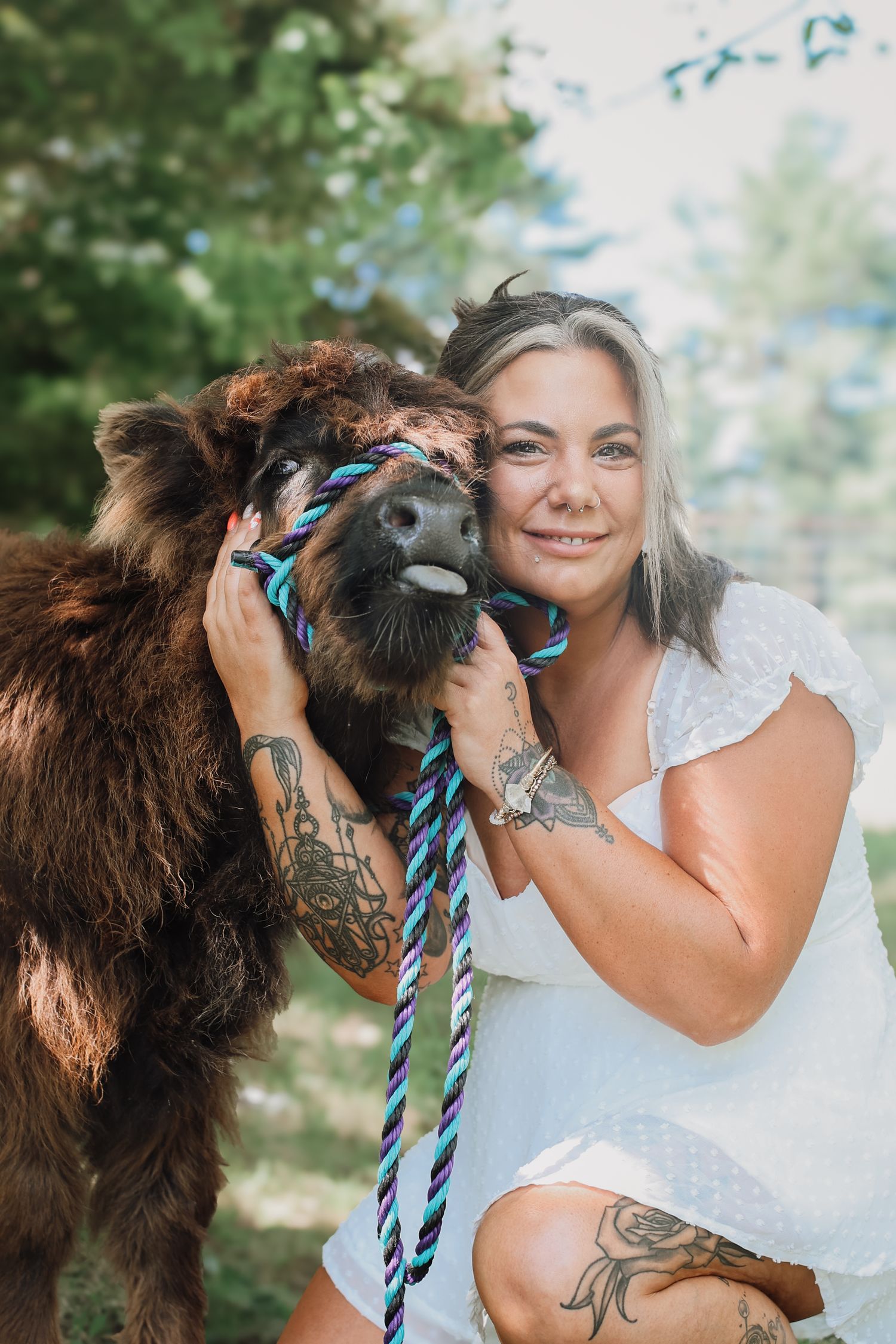A brown alpaca with a blue and white rope leash interacts playfully with someone wearing a white top in a sunny outdoor setting.