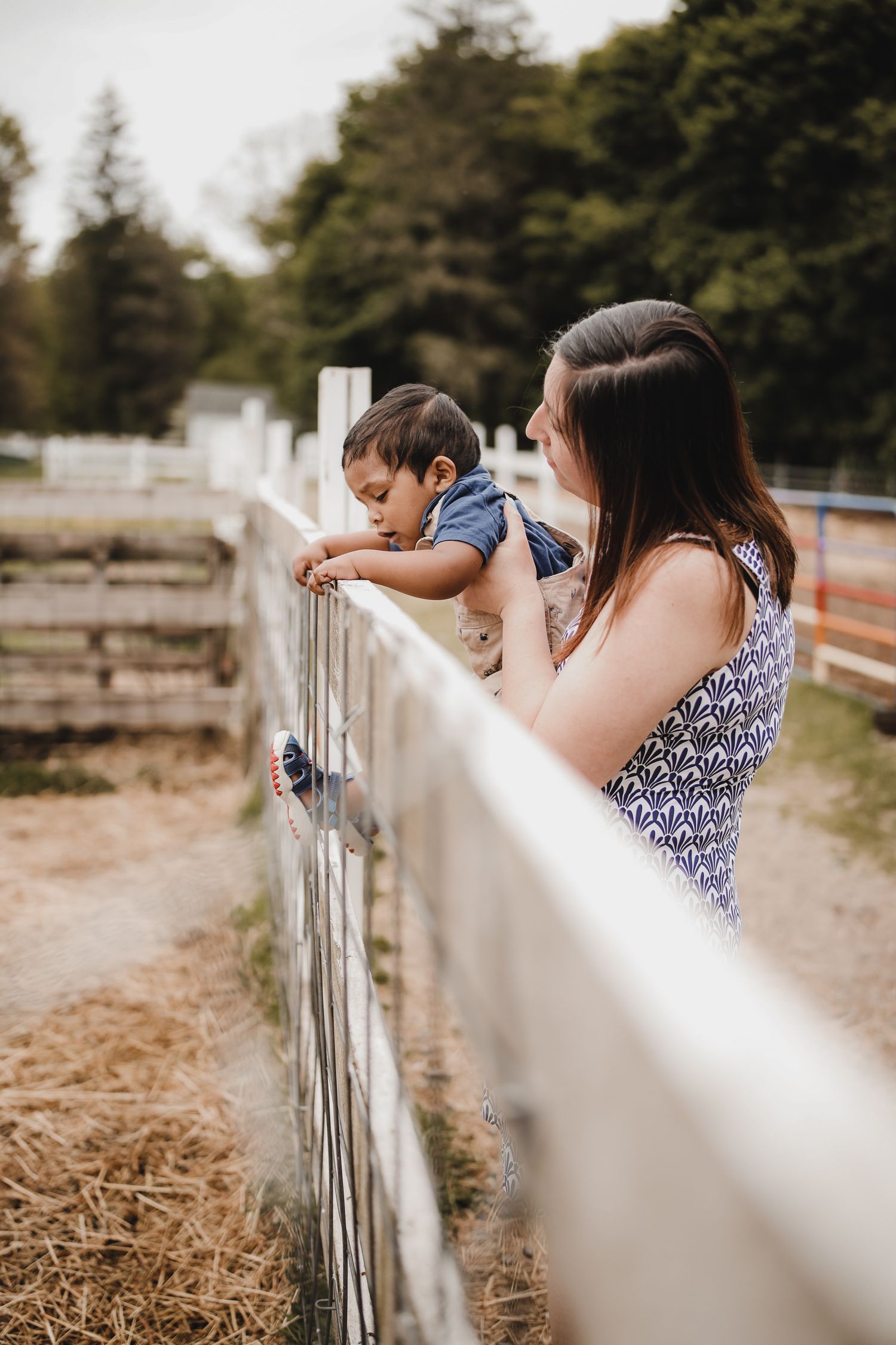 A child and adult lean over a white wooden fence together on a sunny day at a farm.