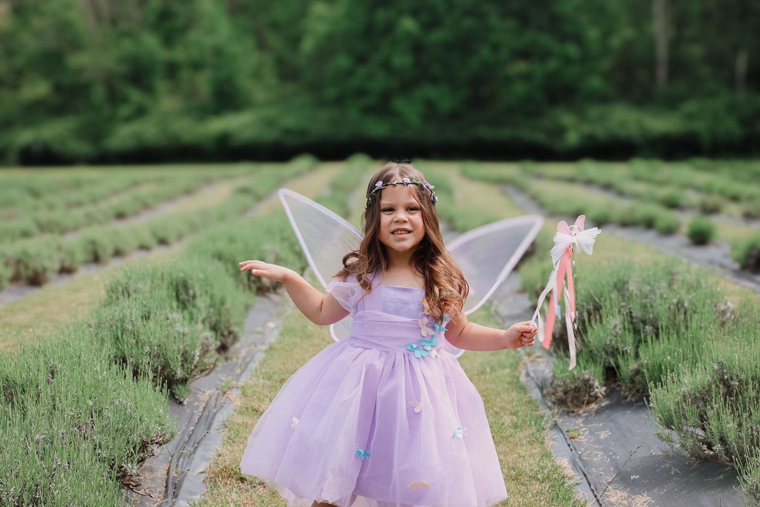 A person in a lavender fairy costume dress poses playfully in a blooming lavender field on a summer day.
