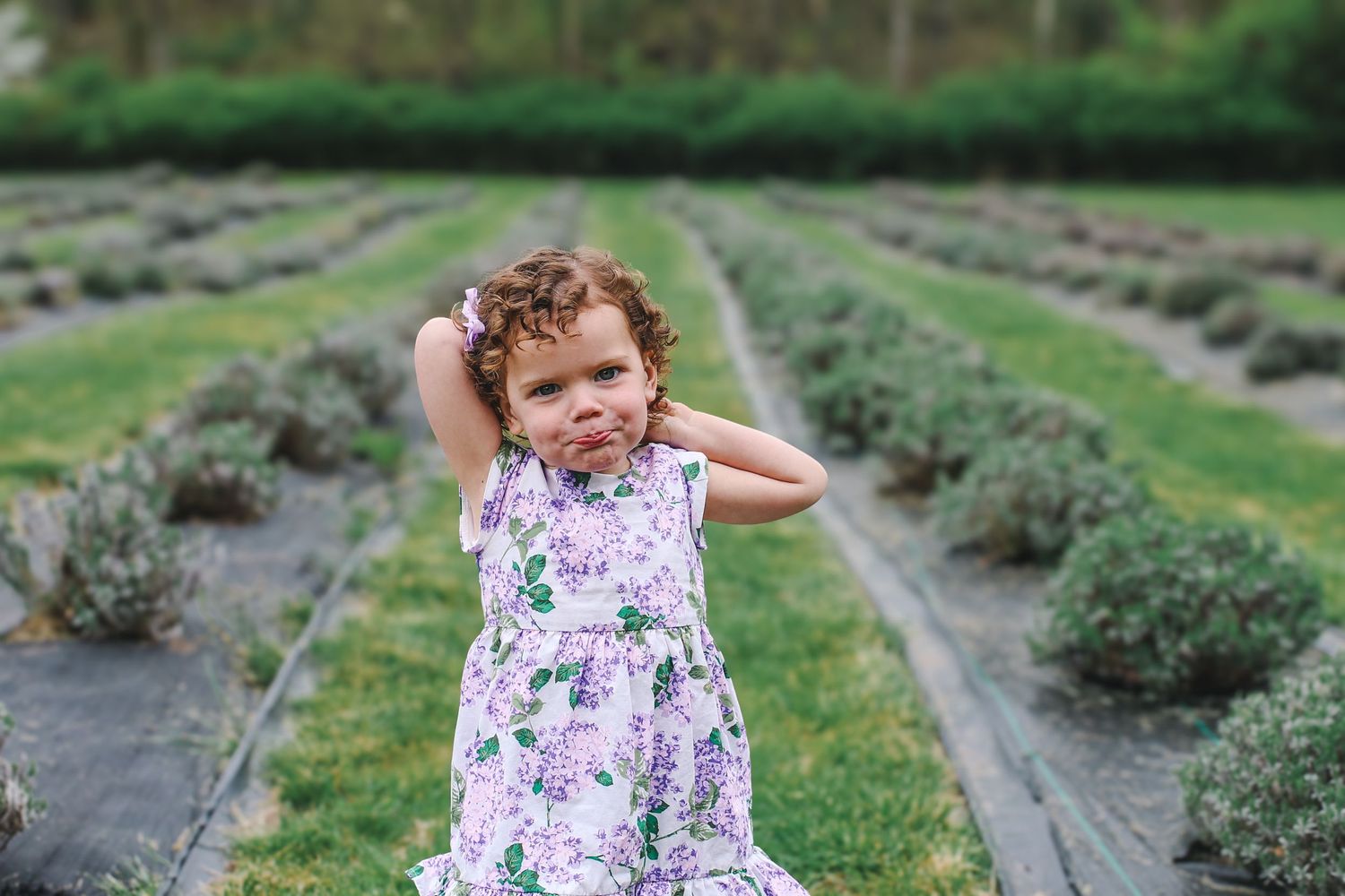 A child in a floral dress explores a lavender field on a sunny summer day.