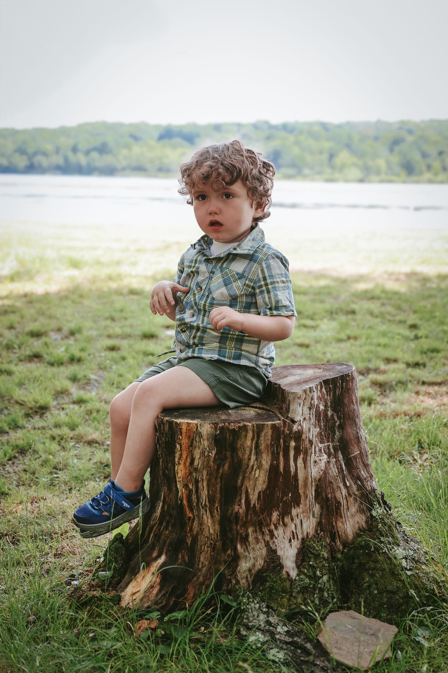 A young child in a plaid shirt and shorts sits on a large tree stump near a lake on a summer day.