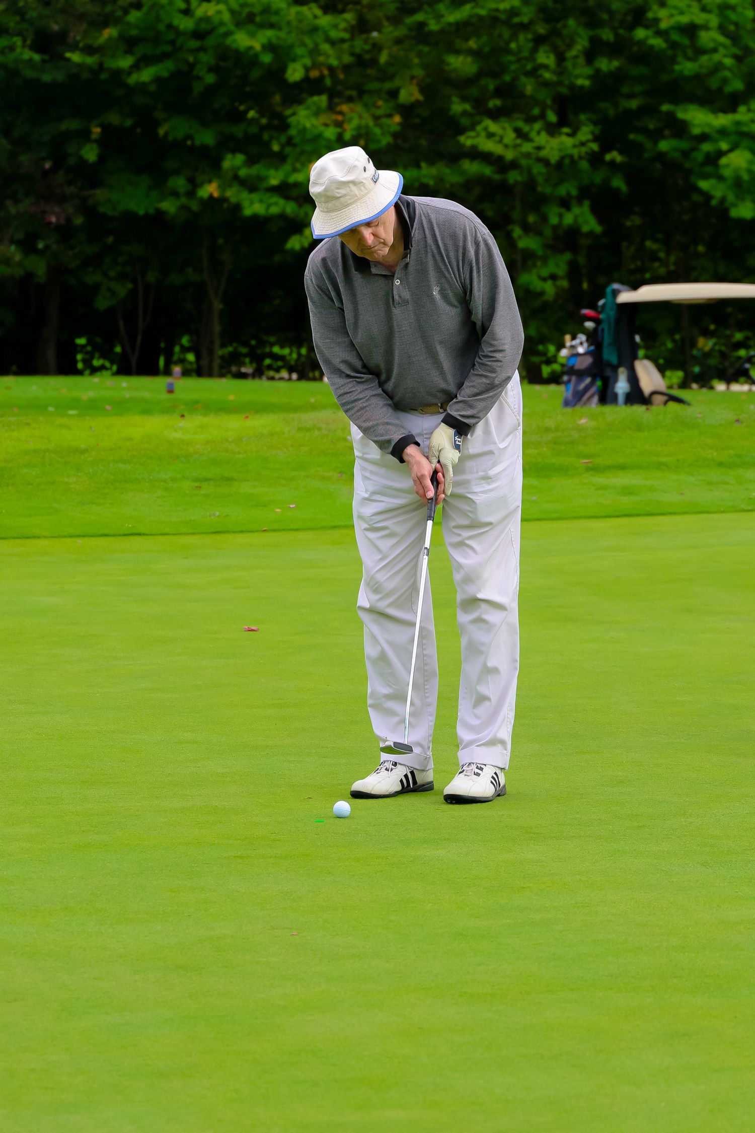 A golfer lines up and putts on a lush green golf course with trees in the background.