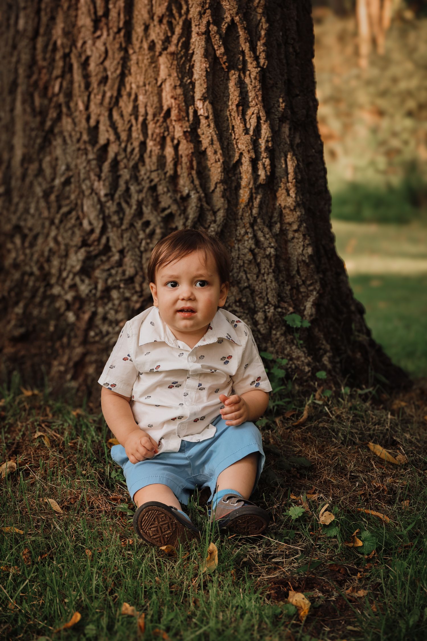 A small child sits at the base of large tree trunks in a series of connected outdoor portrait shots.