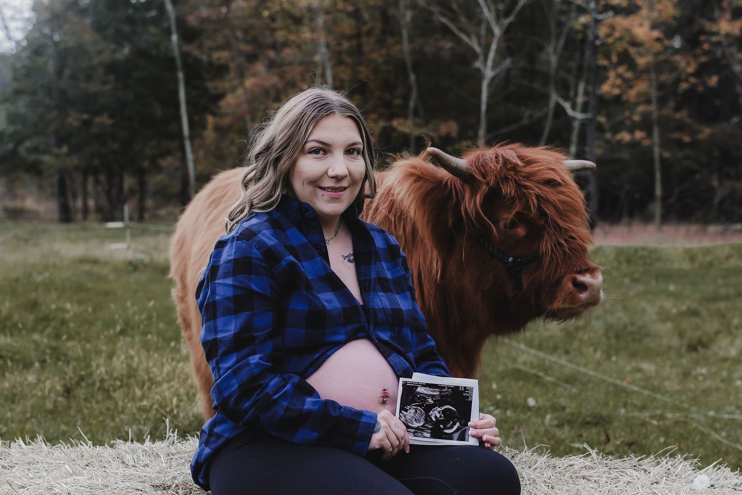 A series of photos showing someone in a blue plaid shirt posing with a brown Highland cow in a grassy field.