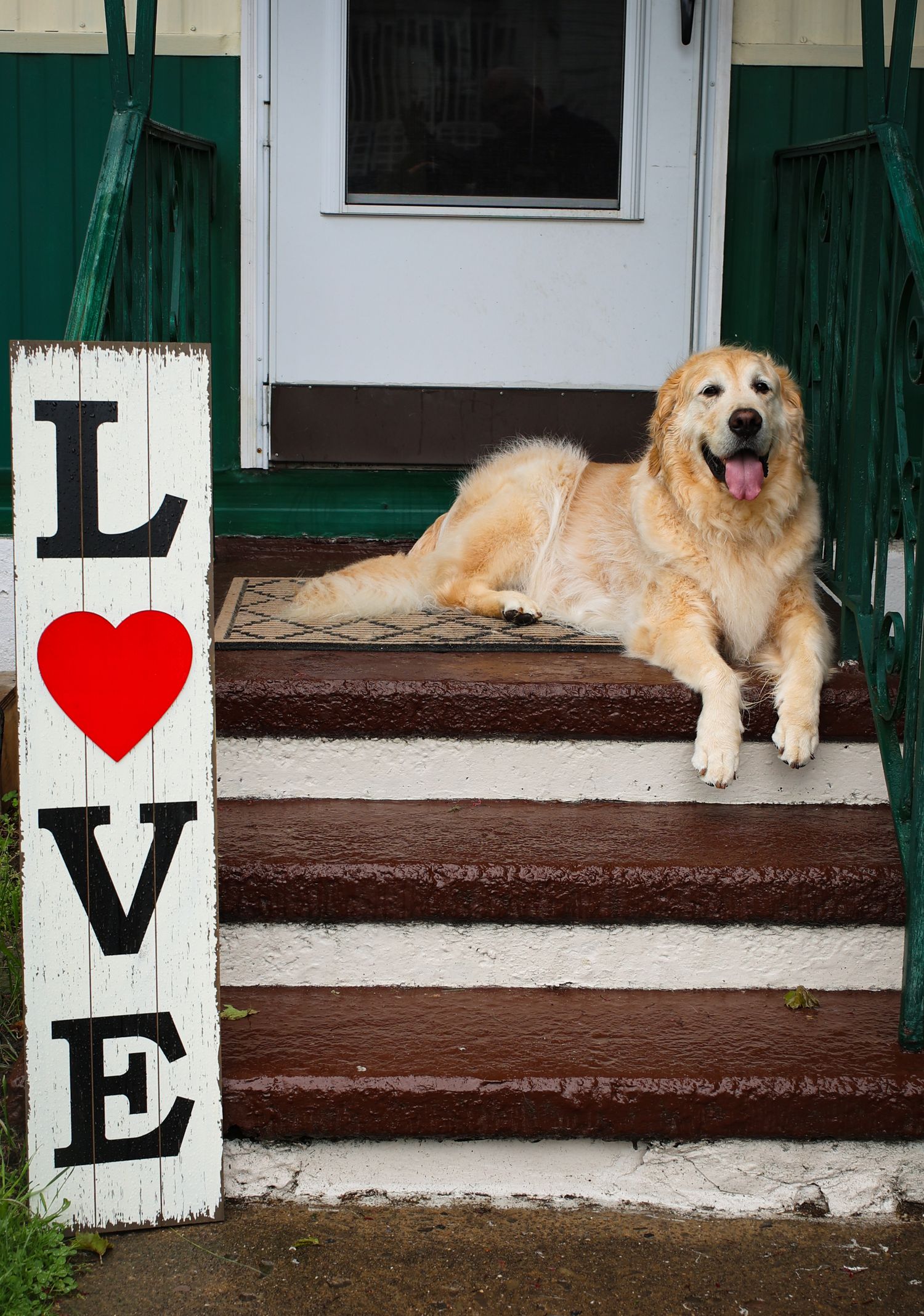 Happy Golden Retriever lying on brown and white porch steps next to a rustic wooden LOVE sign with red heart.