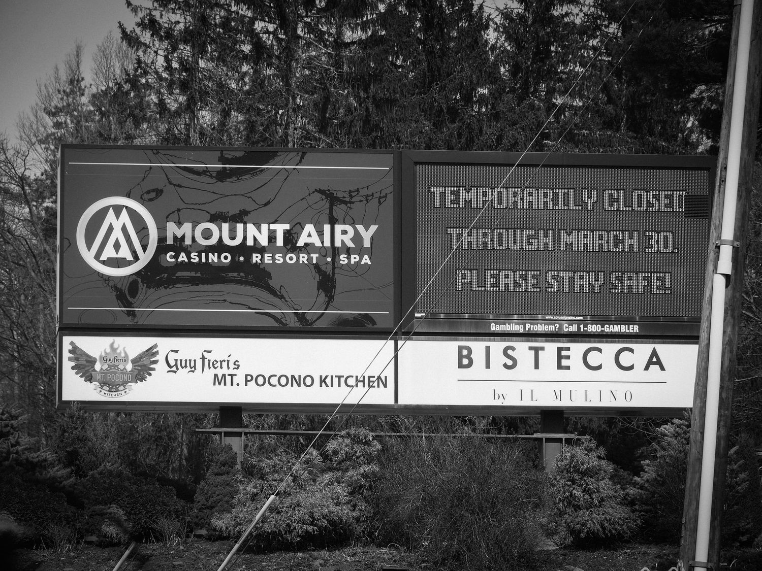 Black and white photo of roadside business signs for Mount Airy Casino Resort and Bistecca restaurant.