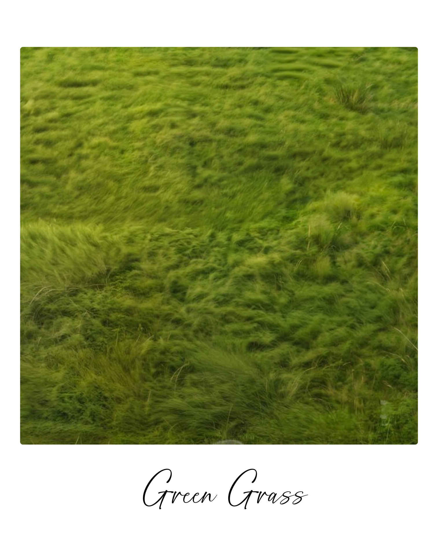 Lush green grass swaying in the wind creates a natural abstract pattern of flowing movement.
