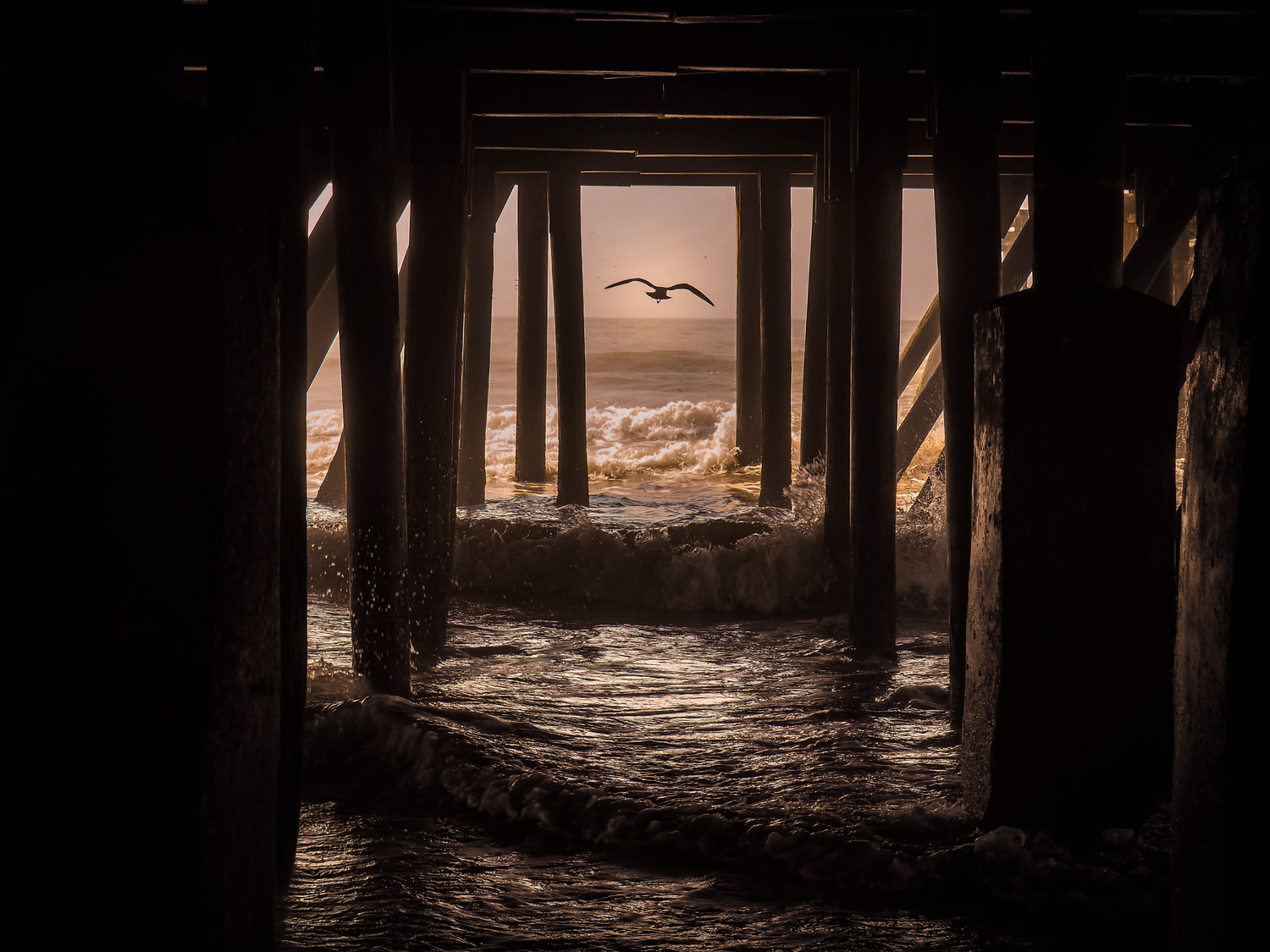 A seagull soars beneath a wooden pier as dramatic waves crash against the supports at golden hour.