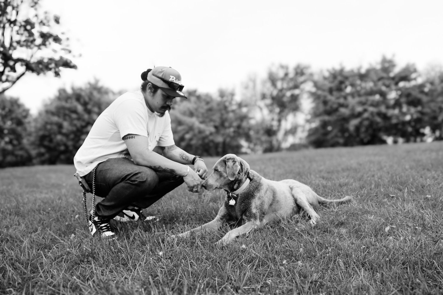 A black and white photo series shows a person and dog playing together on a grassy hillside.
