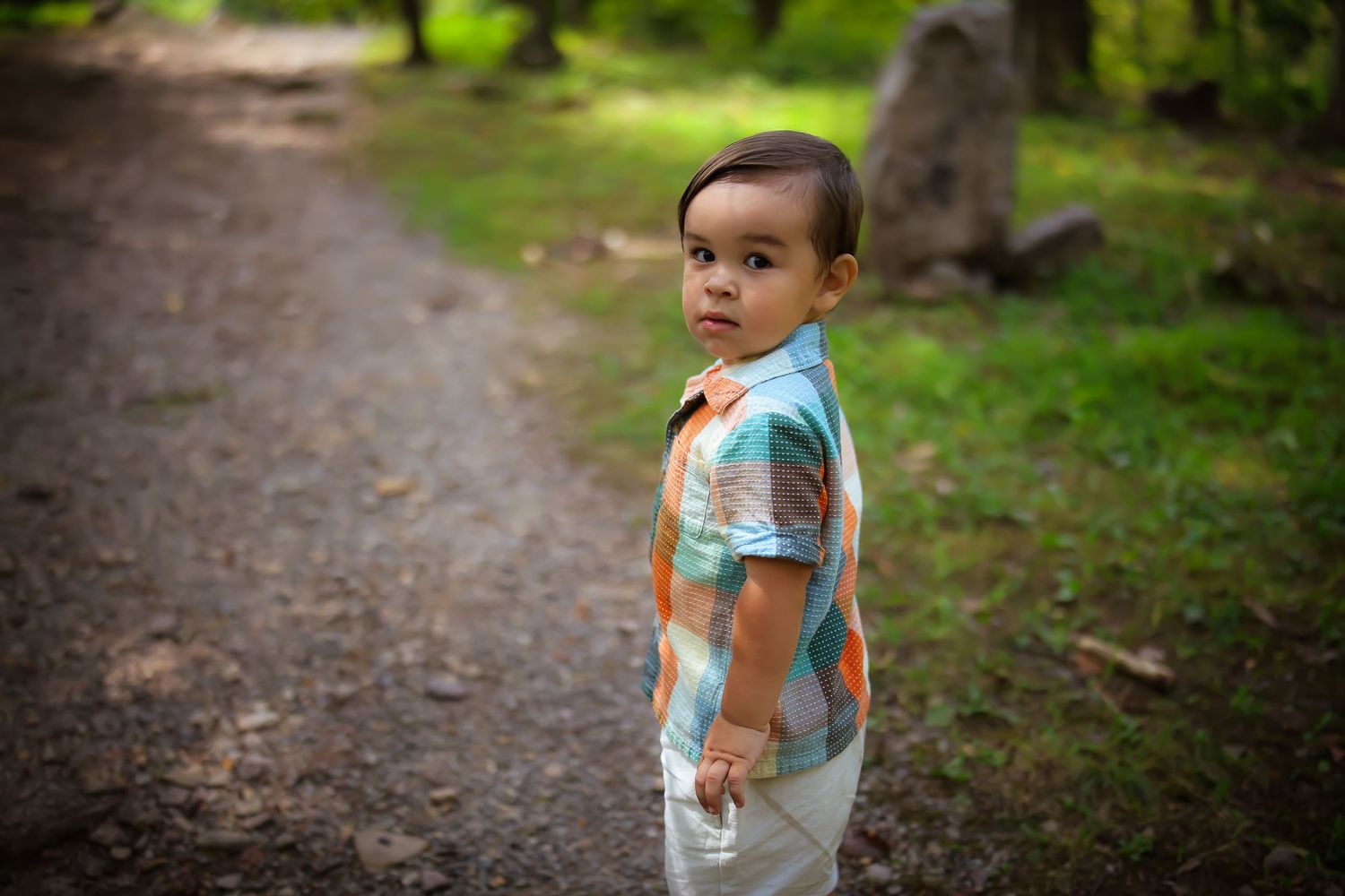 A child in a colorful t-shirt walks along a wooded path on a sunny day.