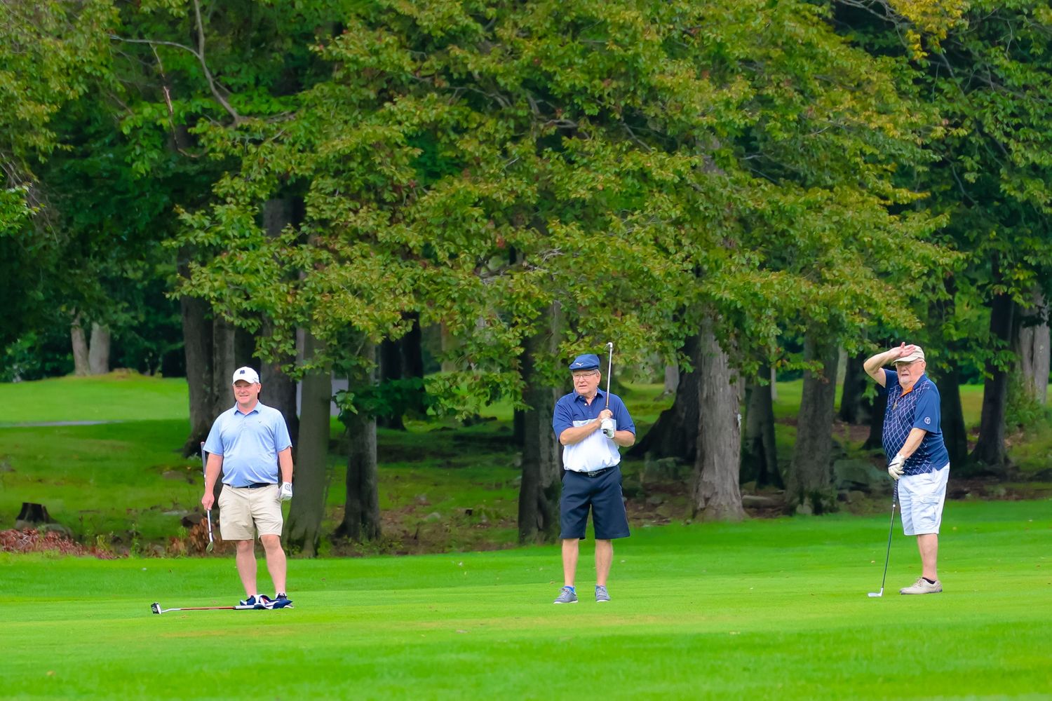 Golfers playing on a lush green course surrounded by tall trees on a sunny day.