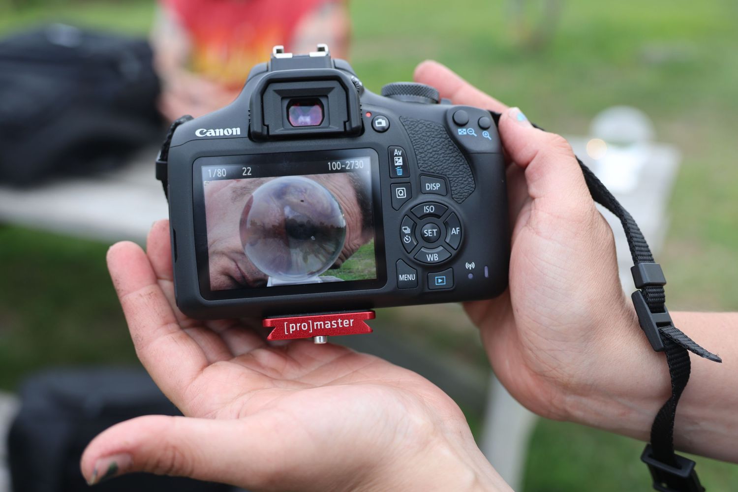 A sequence of shots showing a DSLR camera being held and operated outdoors in natural lighting.
