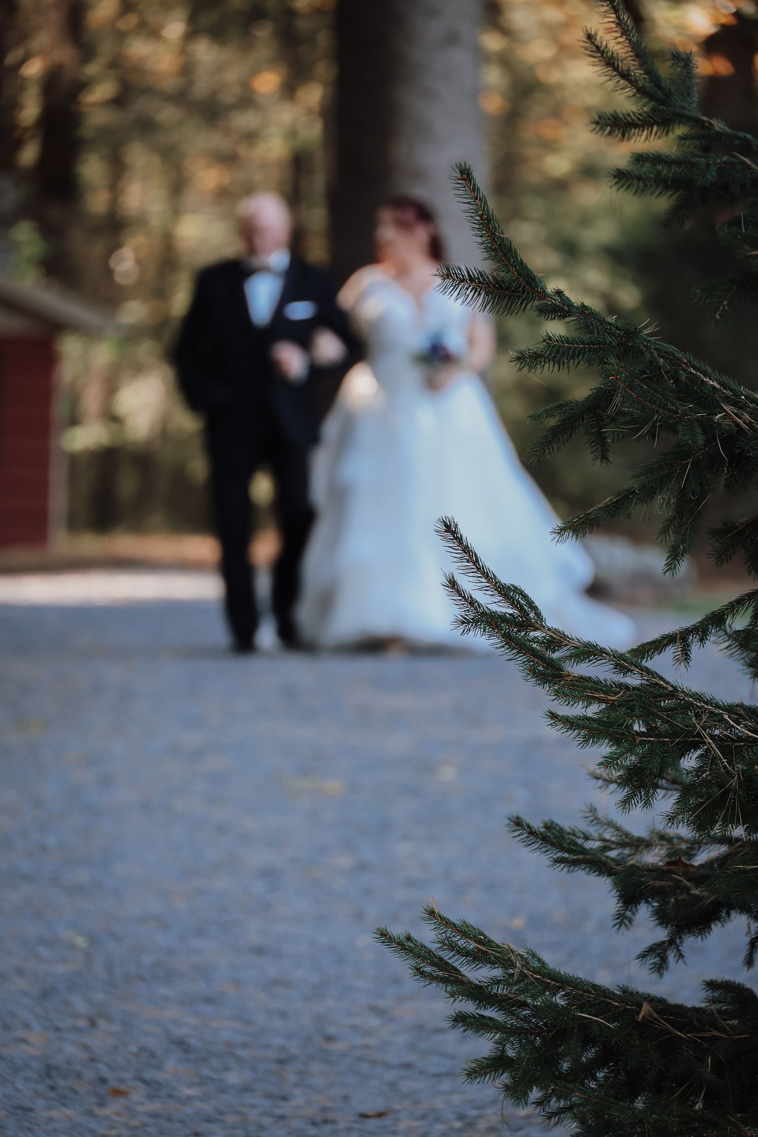 Wedding couple stands in soft focus behind evergreen branches in an outdoor autumn setting.