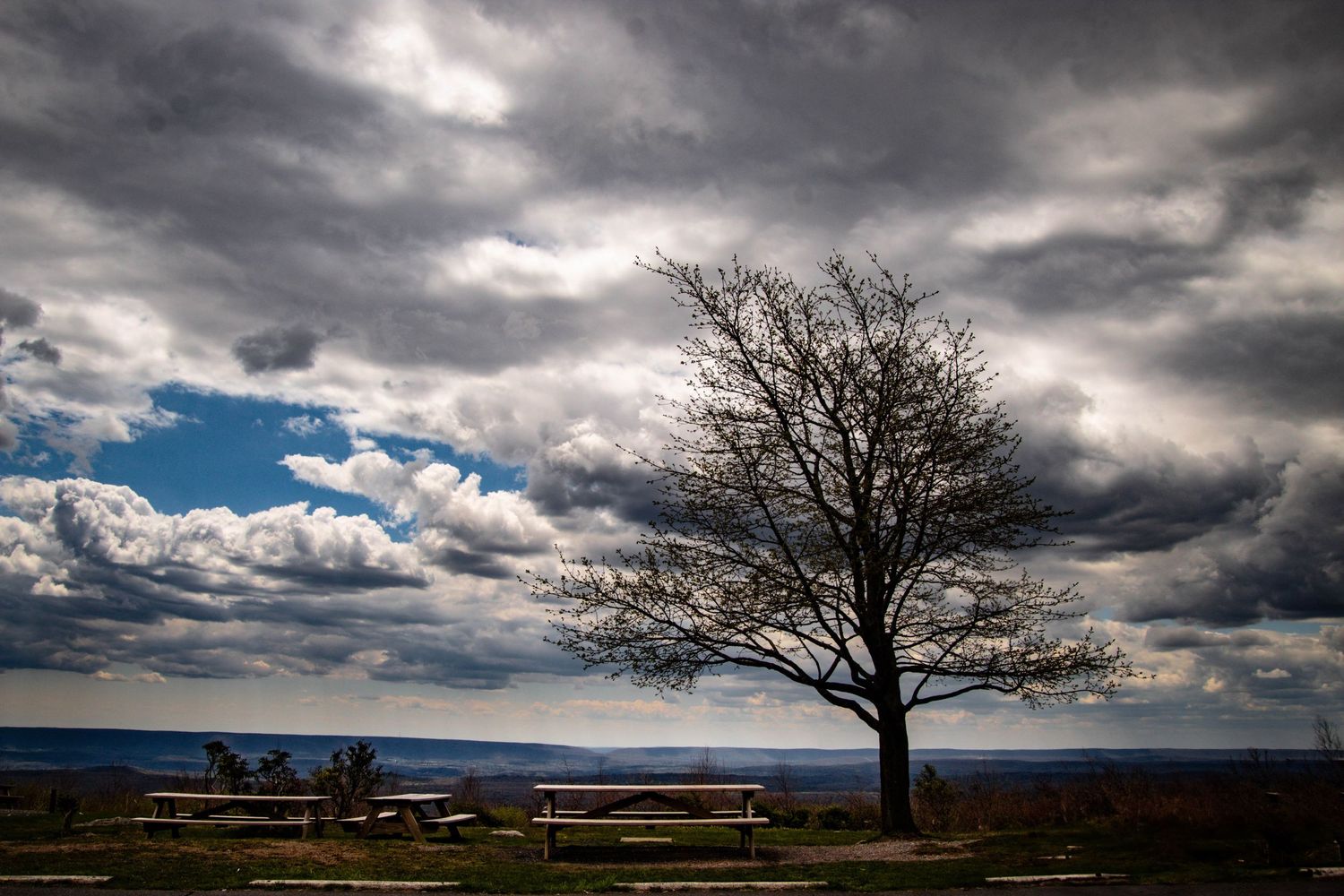 A solitary bare tree stands sentinel over picnic tables on a hilltop under dramatic storm clouds and blue sky.