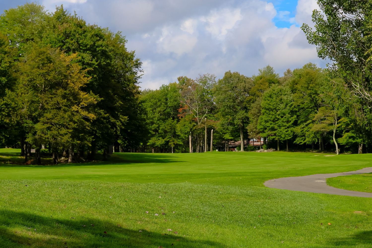 A winding path curves through a lush green park with mature trees and blue sky overhead.
