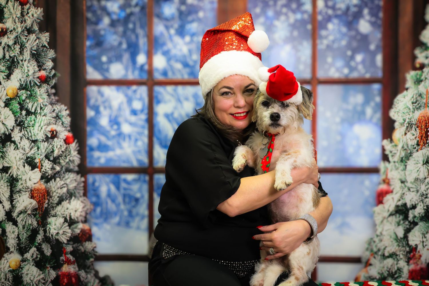 A person in a Santa hat shares a tender moment with a fluffy white dog against a snowy window backdrop.