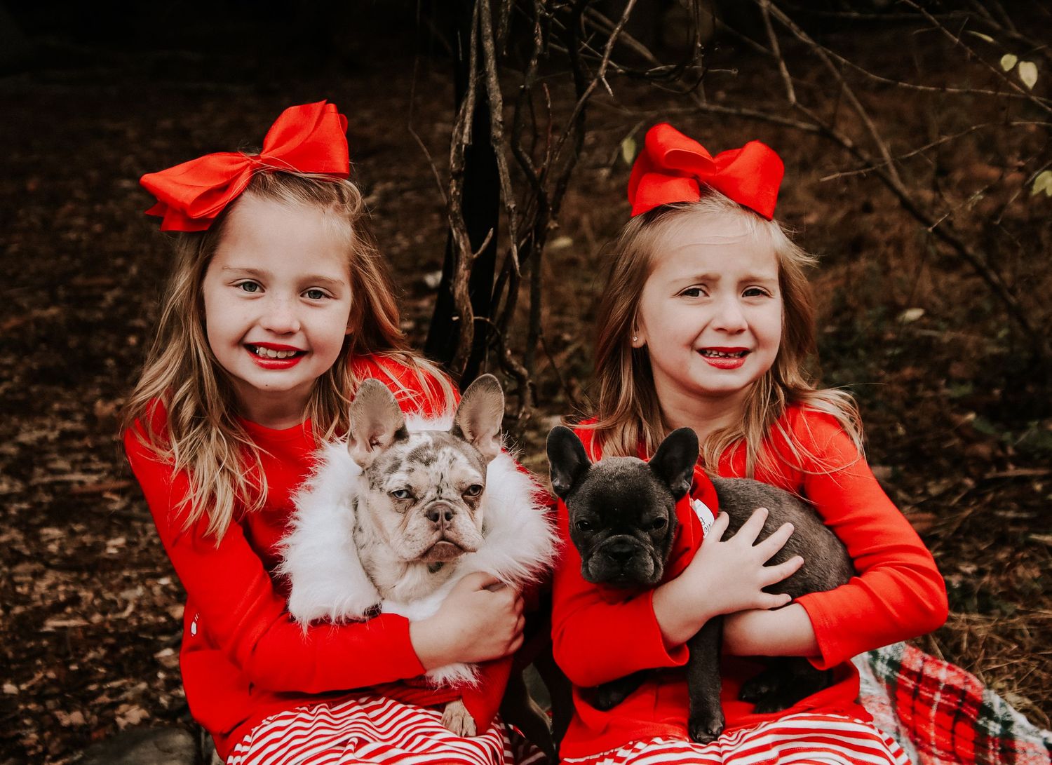 A series of winter photos showing someone in a bright red coat holding a fluffy white and brown cat outdoors.