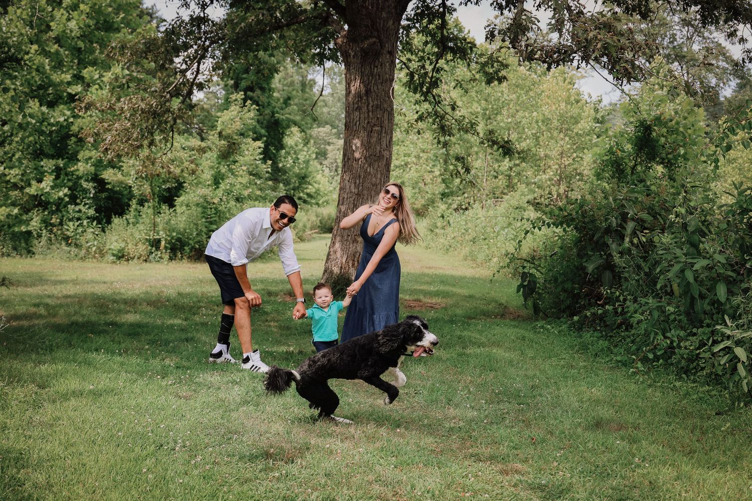 A sequence of outdoor engagement proposal photos showing a couple in a grassy park setting during a romantic moment.