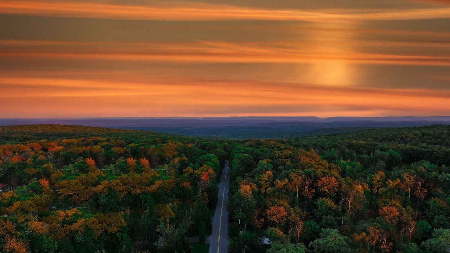 Panoramic aerial view of a dense forest landscape illuminated by a dramatic orange sunset sky.