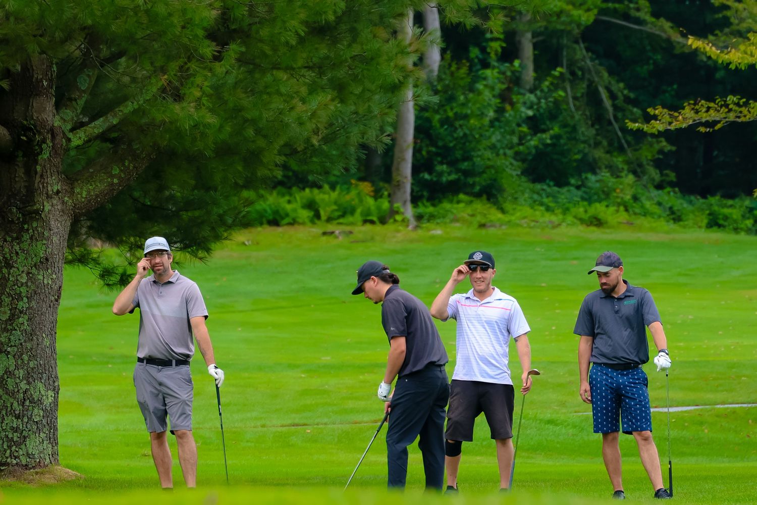 Golfers walking on a lush green course with tall trees lining the fairway during a sunny day.