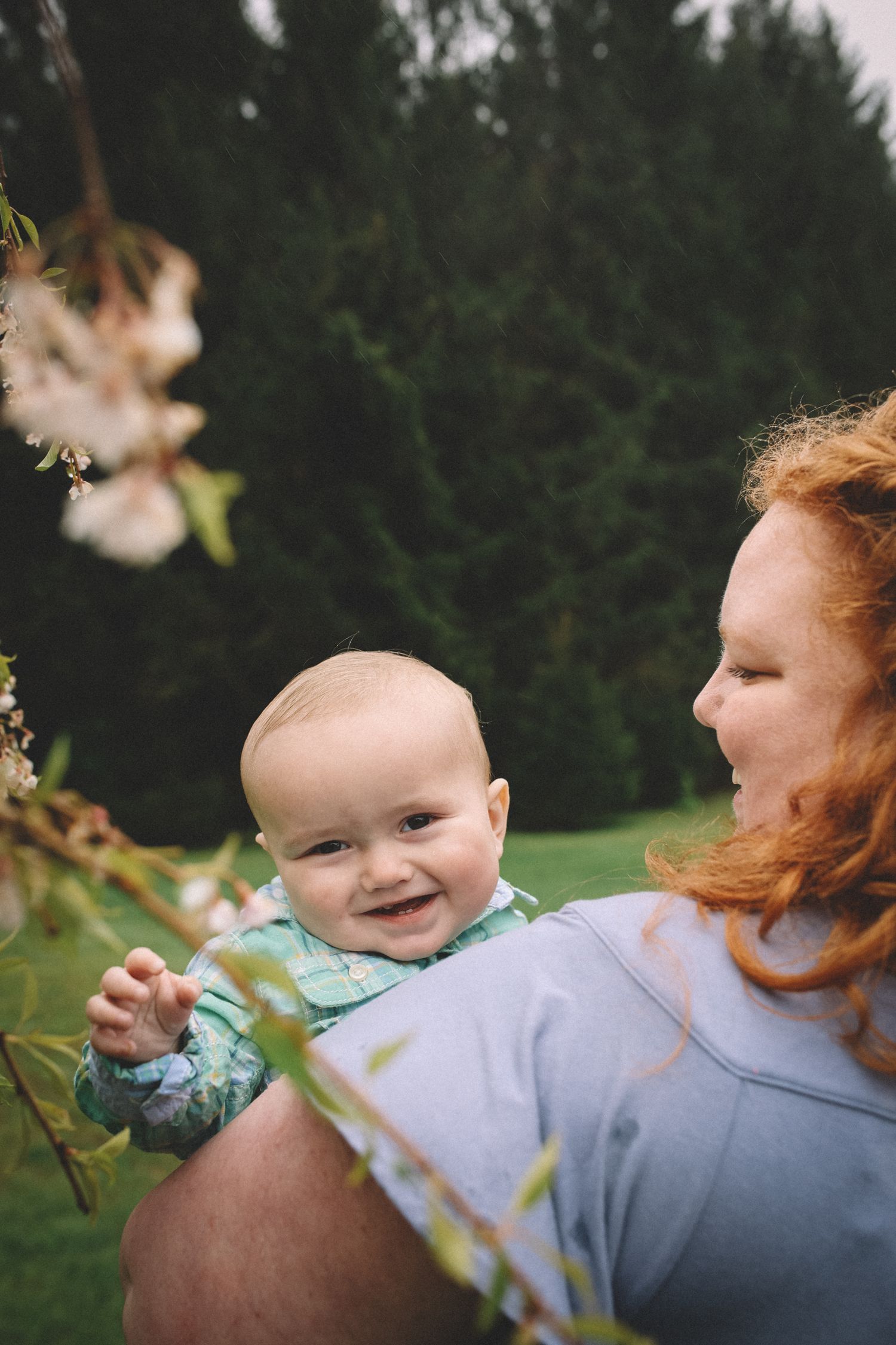 A smiling baby in a blue outfit reaches toward spring blossoms while being held outdoors near evergreen trees.