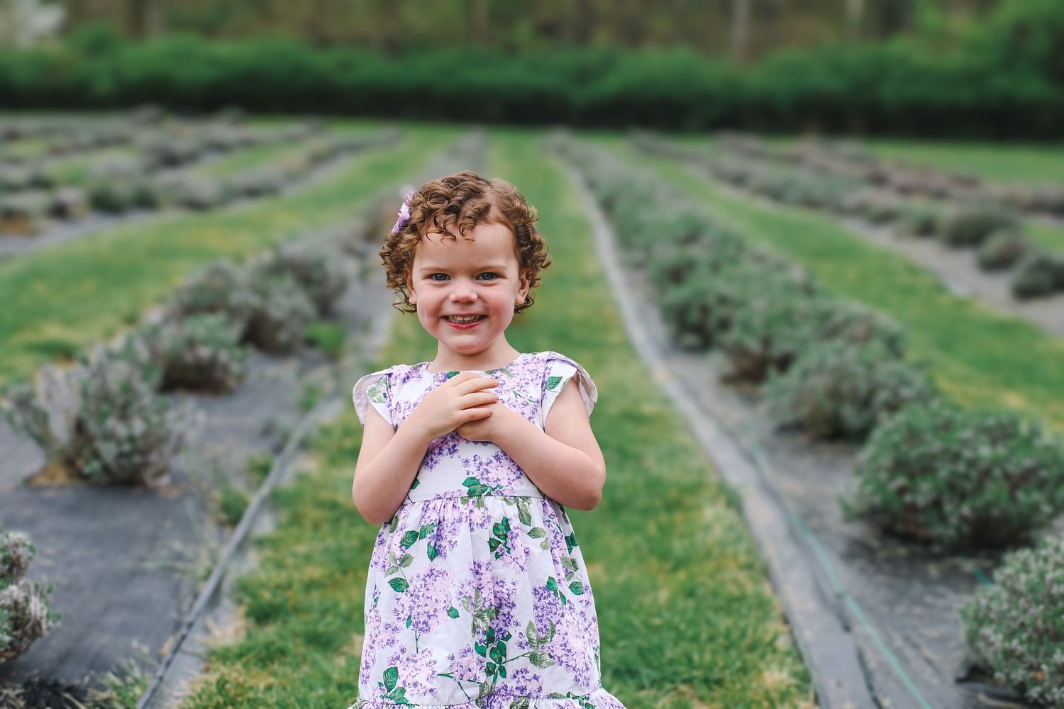 A person explores a blooming lavender field on a sunny summer day, wearing a floral dress.