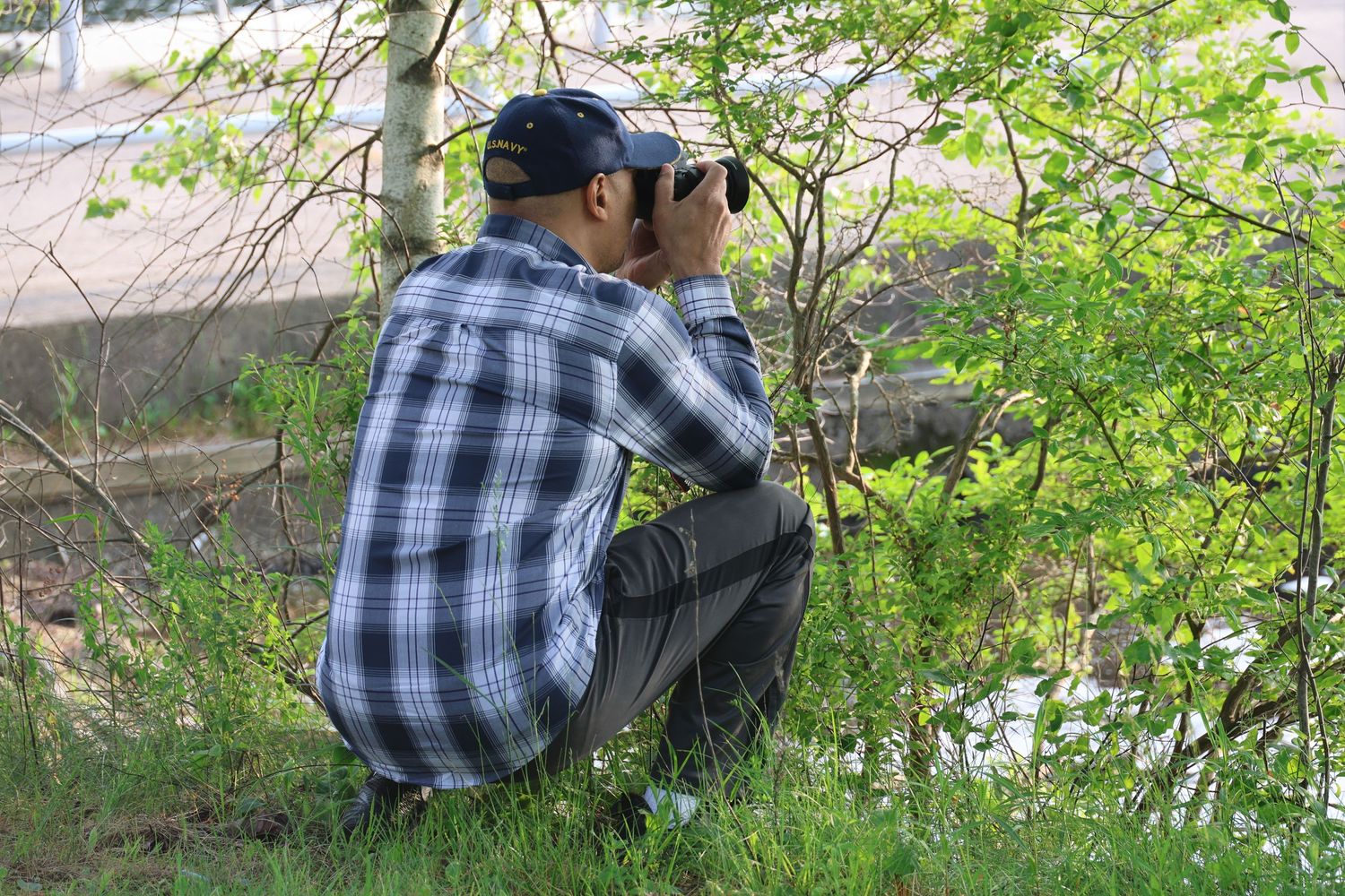 A photographer in a plaid shirt and baseball cap crouches near foliage while taking pictures outdoors.