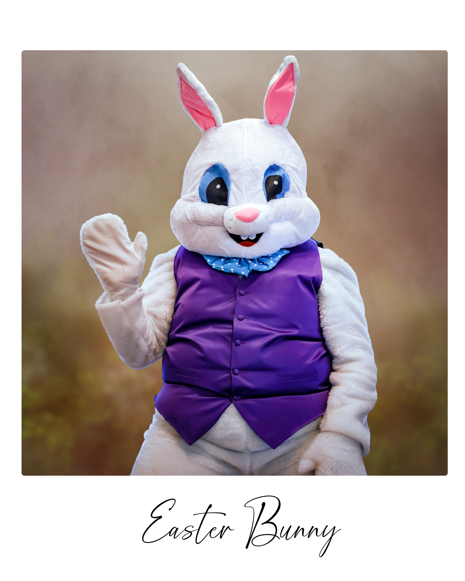 Easter bunny mascot costume with white fur and purple vest showing various angles of the character's expressive face.